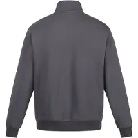 Regatta Heren Pro Quarter Zip Sweatshirt (Afdichting Grijs)