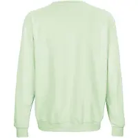Sols Columbia Unisex Sweatshirt voor volwassenen (Romig groen)