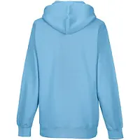 Russell athletic Russell Kleuren Heren Hooded Sweatshirt / Hoodie (Hemelsblauw)