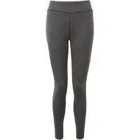 Dare 2b Dames/Dames Invloedrijke Strakke Lichtgewicht Gymlegging (Houtskool Grijs)