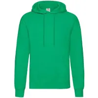 Fruit Of The Loom Volwassenen Unisex klassiek sweatshirt met capuchon (Kelly Groen)