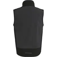 Regatta Heren E-Volve Colour Block Softshell Bodywarmer (Grijs/Ash)