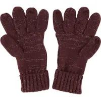 Regatta Dames/dames Winterhandschoenen (Paars)