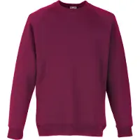 Fruit Of The Loom Kinderen Unisex Raglan mouwen Sweatshirt (Bordeux)