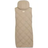 Regatta Dames/Dames Rurietta Lang Gilet (Taupe Beige)