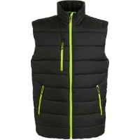 Regatta Thermische bodywarmer Navigate voor heren (Zwart/Lijkgroen)