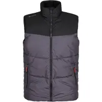 Regatta Geïsoleerde bodywarmer heren Regime (Strijkijzer/zwart)