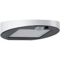 Paulmann LED buitenwandlamp solar Ryse wit, wit / opaal, Kunststof, Modern, solar buitenlamp