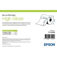 Epson 7113755 high gloss label 102 x 152 mm (origineel)
