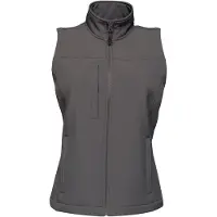Regatta - Dames Flux Softshell Bodywarmer (Waterafstotend & Windbestendig) (Grijs)