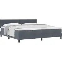 vidaXL Boxspring bed met hoofdeinde Donkergrijs 200 x 200 cm Fluweel