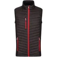 Regatta Professional Heren Gewatteerd Hybride Gilet (Zwart/Klassiek Rood)