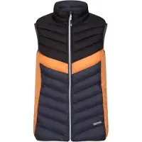 Regatta Dames/Dames Harrock II Baffled Gilet (Afdichting Grijs/Zwart)