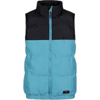 Trespass Dames/Dames Stony Gewatteerd Gilet (Storm Blauw)