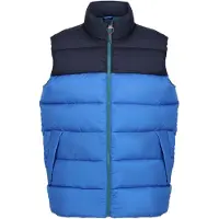 Regatta Heren Vintage Colour Block Gilet (Sterk Blauw/Navy)