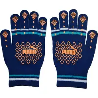 Puma Dames/Dames Diamanthandschoenen (Marine)