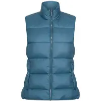 Regatta Dames/Dames Yewbank omkeerbare bodywarmer (Spiegelend meer)