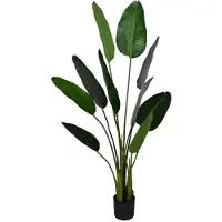 HBX Deco Deco strelitzia d80h150cm groen