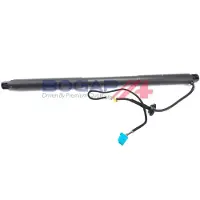 BOGAP C5260131 Gasveer achterklep