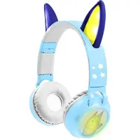 Bluey 3D Bluey design Bluetooth en Bedrade Opvouwbare Koptelefoon met veilige volumebeperking