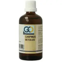 Go Carpinus betulus bio