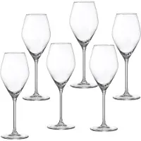 Ritzenhoff & Breker Witte wijnglazen, 340 ml, set van 6, merk Salsa