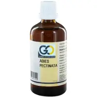 Go Abies pectinata bio