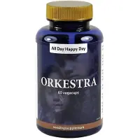 All Day Happy Day Orkestra