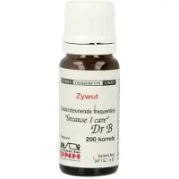 Dnh Zywut