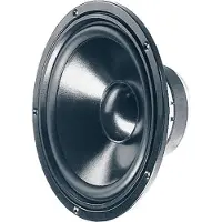 Visaton W 250 S - 8 Ohm 10 inch 25.4 cm Woofer 100 W 8 Ω