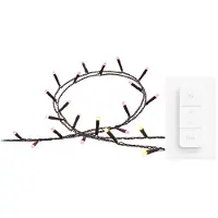 Philips Hue Festavia Guirlande Lumineuse - 40 Mètres - 500 LED + Hue Variateur