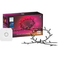 Philips Hue Festavia Guirlande Lumineuse - 20 Mètres + Détecteur de Mouvement