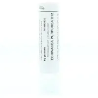 Homeoden Heel Echinacea purpurea D12