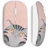 MANIACASE Draadloze muis - Schattig - Roze - Compatibel met Mac en PC - Inclusief USB-stekker - Draadloze technologie