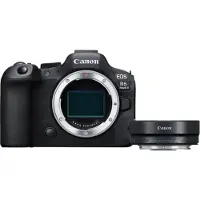 Canon EOS R6 Mark II + EF-EOS R Adapter