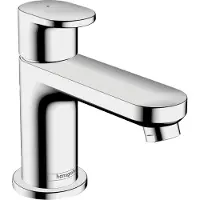 Hansgrohe Vernis Blend - Fontein - Toiletkraan Zonder waste - 70mm maat - Voor koud water - Chroom
