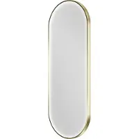 Balmani Secret ovaal badkamerspiegel Brushed Champagne Gold 45 x 120 cm met spiegelverlichting en anti-damp
