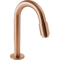 Blaufoss Ottawa koudwaterkraan Brushed Rosegold