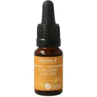 La Drome Chicoree chicory biologisch 10 ml