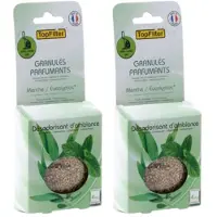 Top Filter Set van 2 x 4 Zakjes geurkorrels voor stofzuiger met munt/eucalyptus TopFilter