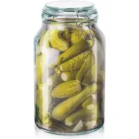 Orion - Glazen Opbergpot - 4,2 l - Patent Sluiting - Metalen Clips