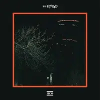 Konkurrent So Pitted - Neo (LP) (Loser Edition) (Coloured Vinyl)
