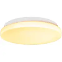 Nedis SmartLife Plafondlamp | Wi-Fi | RGB / Warm tot Koel Wit | Rond | Diameter: 260 mm | 1820 lm | 3000 - 6500 K | IP20 | Energieklasse: F | Android / IOS