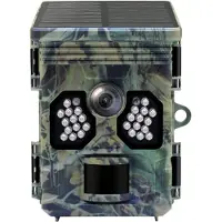 Genway racoon solar 4k wildcamera