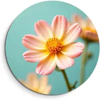 KitchenArt - Soft Sunrise – Muurcirkel Binnen - ø 40 cm - Wandcirkel - Mét Ophangsysteem - Wanddecoratie - Muurdecoratie