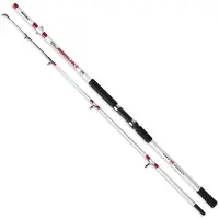 Zunzun Zahara Spinning Rod Wit 2.40 m / 150-300 g