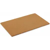 Benson Deurmat - buitenmat - pvc/kokos - 50 x 80 cm - droogloopmat