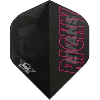 Bull's Ricky Evans 80 E2 NO2 - Dart Flights