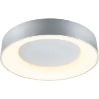 Paulmann 71095 Casca LED-plafondlamp LED 23 W Aluminium (mat)