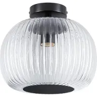 Paulmann 71146 Ruya Plafondlamp E27 Glas, Zwart (mat)